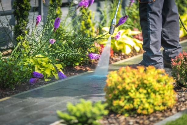 Best Concrete Surface Cleaning in Bardonia, NY
