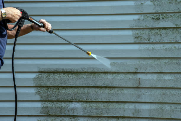 Best Roof Cleaning and Mildew Removal in Bardonia, NY